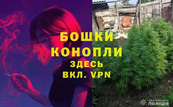 прущие крисы Бородино