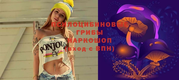 прущие крисы Бородино