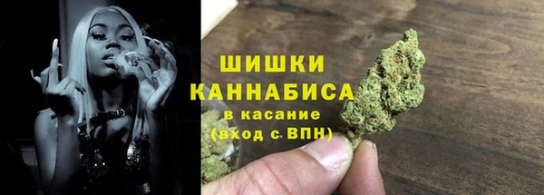 прущие крисы Бородино