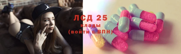 прущие крисы Бородино