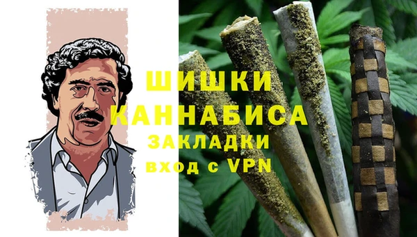 прущие крисы Бородино