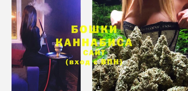 стафф Бронницы