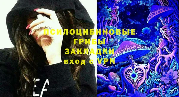 прущие крисы Бородино