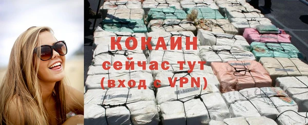 прущие крисы Бородино