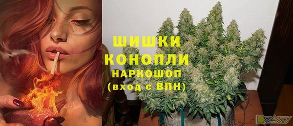 стафф Бронницы