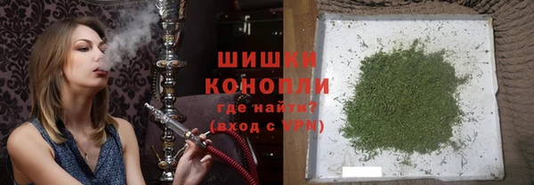 прущие крисы Бородино