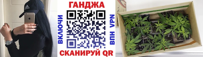 Шишки марихуана MAZAR  цены   Велиж 